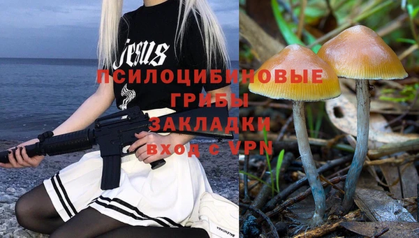 ECSTASY Алексеевка
