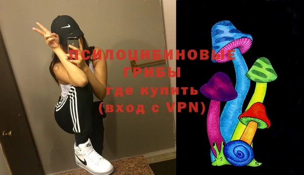 ECSTASY Алексеевка