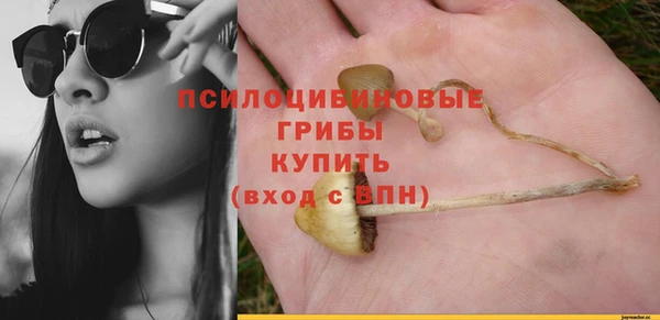 ECSTASY Алексеевка