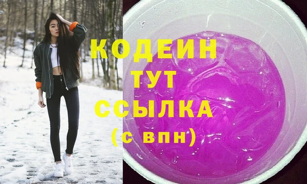 дмт Надым