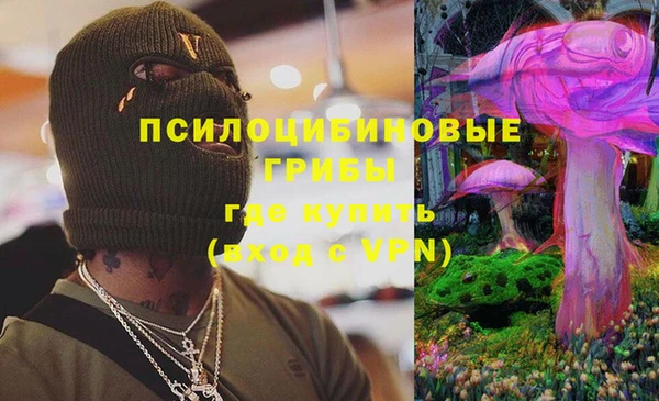 ECSTASY Алексеевка